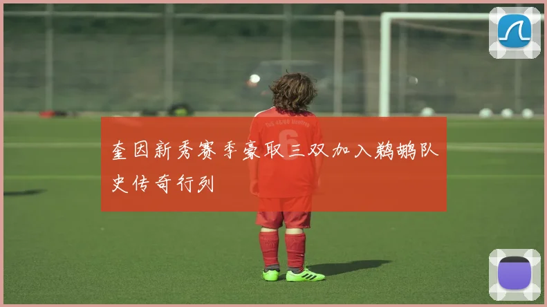 奎因新秀赛季豪取三双加入鹈鹕队史传奇行列